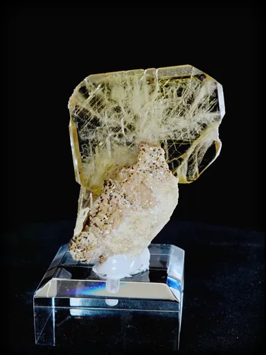specimen video