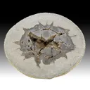Barite - image 1