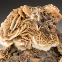 Barite Bouquet - image 2