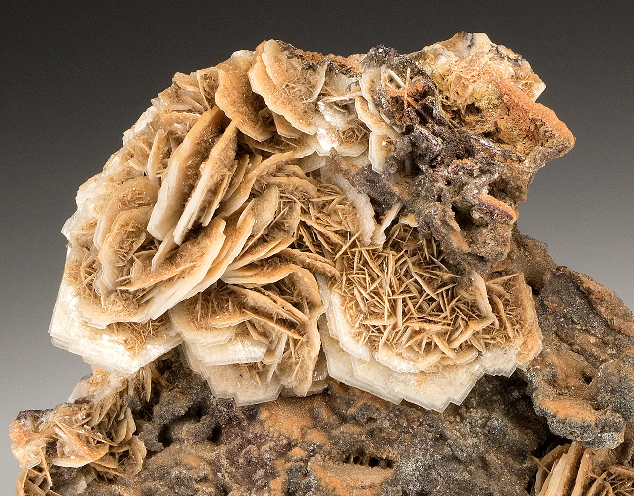Barite Bouquet - image 2