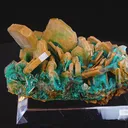 specimen video