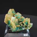 specimen video