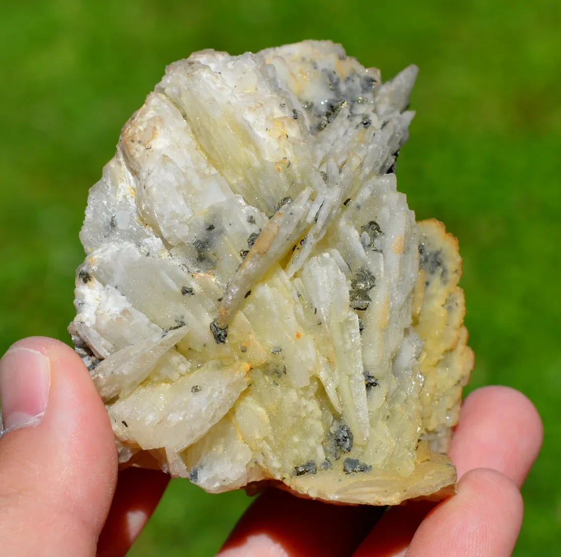 Barite & Fluorite Marcasite - 511 grams - Fontsante Mine, Tanneron, Draguignan, Var, France - image 1