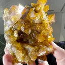 specimen video
