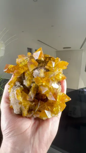 specimen video