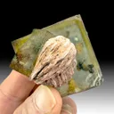 Barite from Jorf, Drâa-Tafilalet Region, Morocco - image 1