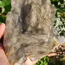 specimen video