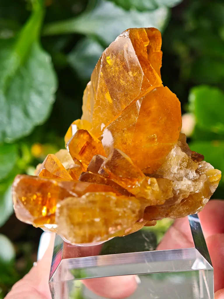 Barite from Pöhla, Germany. Beautiful cluster of lustrous and translucent of top amber colored barite crystal with phantoms - image 5
