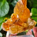 Barite from Pöhla, Germany. Beautiful cluster of lustrous and translucent of top amber colored barite crystal with phantoms - image 5
