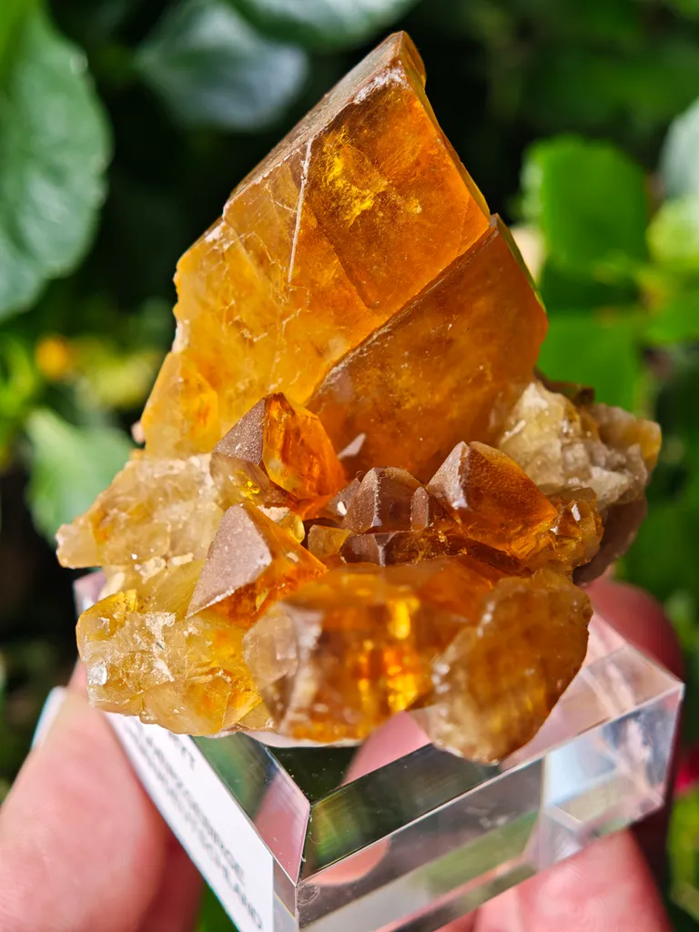 Barite from Pöhla, Germany. Beautiful cluster of lustrous and translucent of top amber colored barite crystal with phantoms - image 4