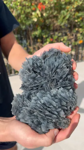 specimen video