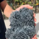specimen video