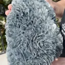 specimen video