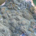Barite & Galena 1465 grams - Chaillac, Le Blanc, Indre, Centre-Val de Loire, France - image 3