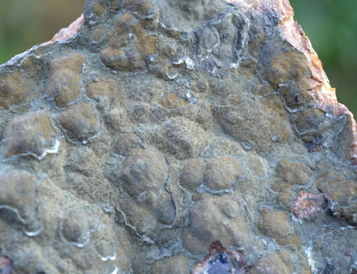 Barite & Galena 1465 grams - Chaillac, Le Blanc, Indre, Centre-Val de Loire, France - image 3