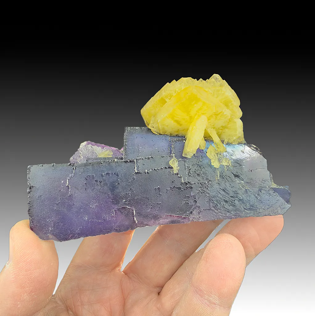Barite on Fluorite image