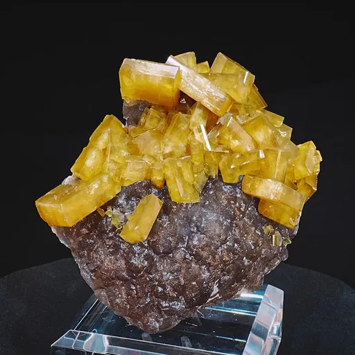 specimen video
