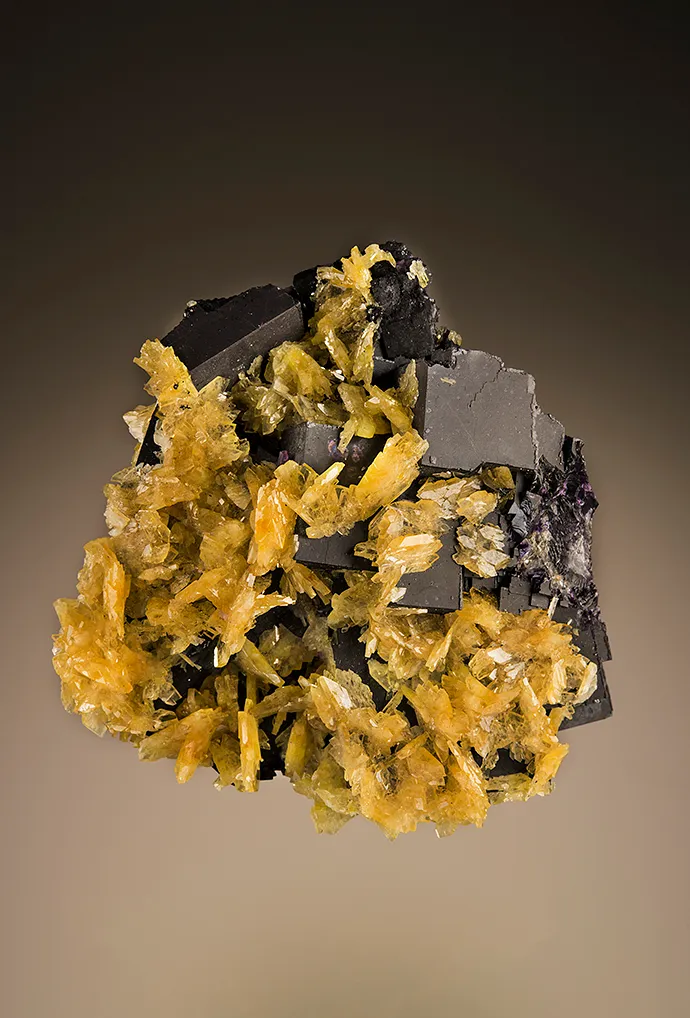 Barite on Fluorite - image 2