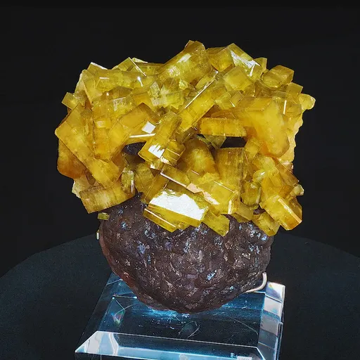 specimen video