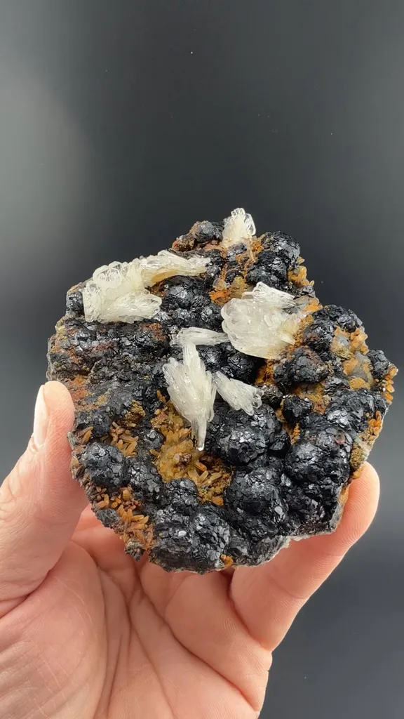 Barite on Sphalerite image