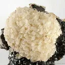 Barite on Sphalerite (Or Vice Versa) - image 2