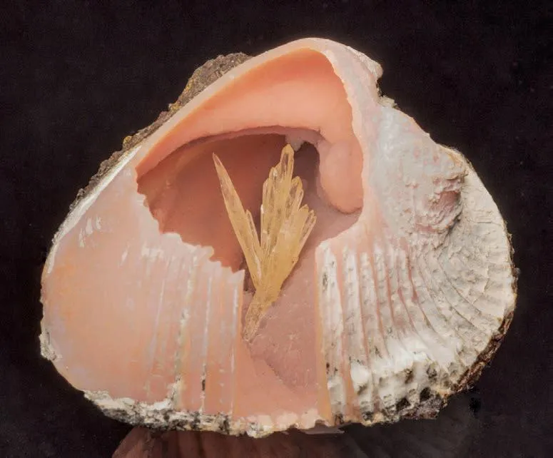 Barite, Rhodochrosite image