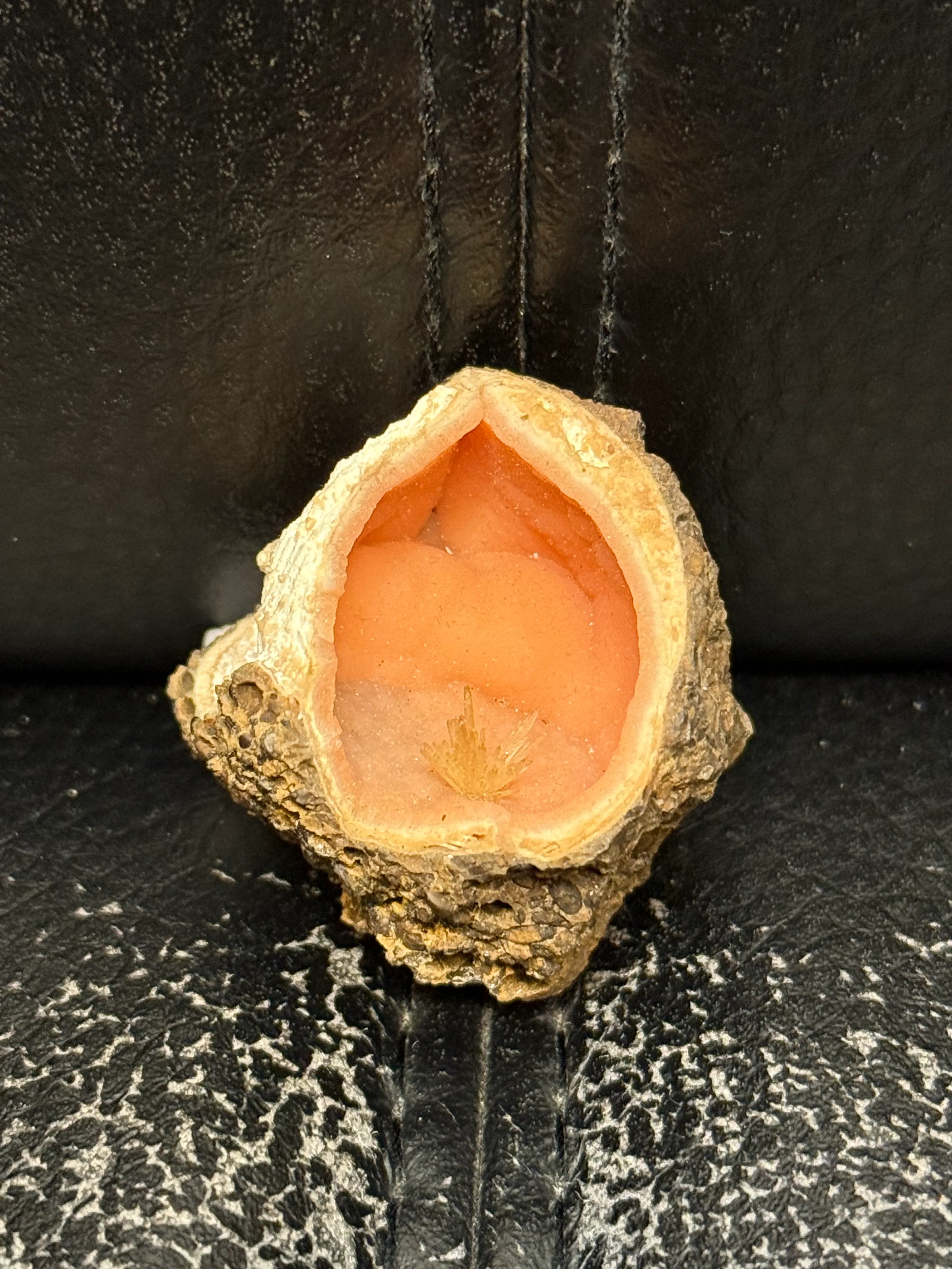 Barite spray in rhodochrosite psm after shell - image 1