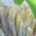 Barite whistle 545 grams - Maine Mine, Cordesse, Lucenay-l'Evêque, Autun, Saône-et-Loire, France - image 5
