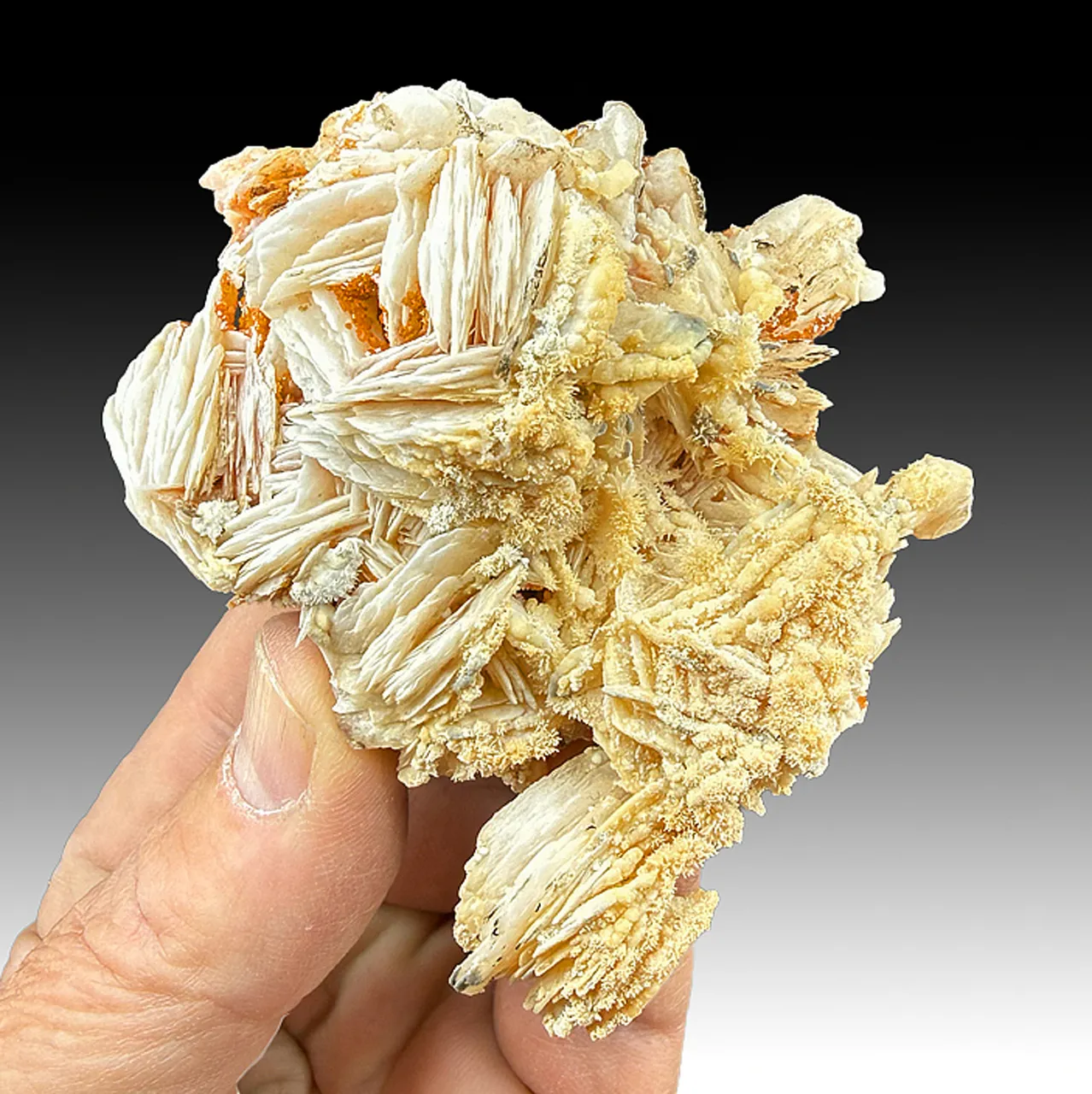 Barite with Aragonite, Vanadinite - image 1