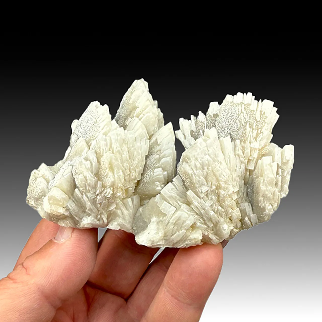 Barite with Calcite (1379) - image 1