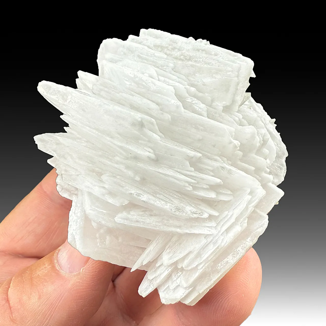 Barite with Calcite (1390) - image 1