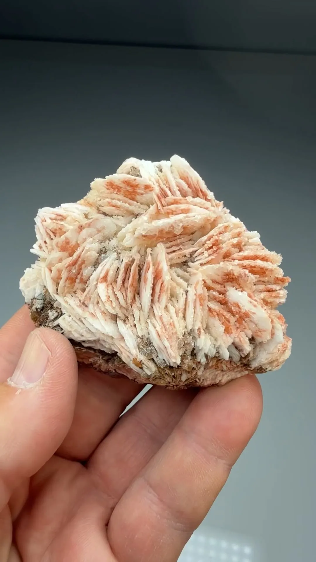 Barite with Calcite (1500) - image 2