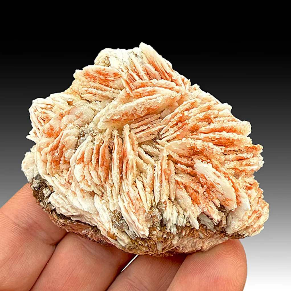 Barite with Calcite (1500) image