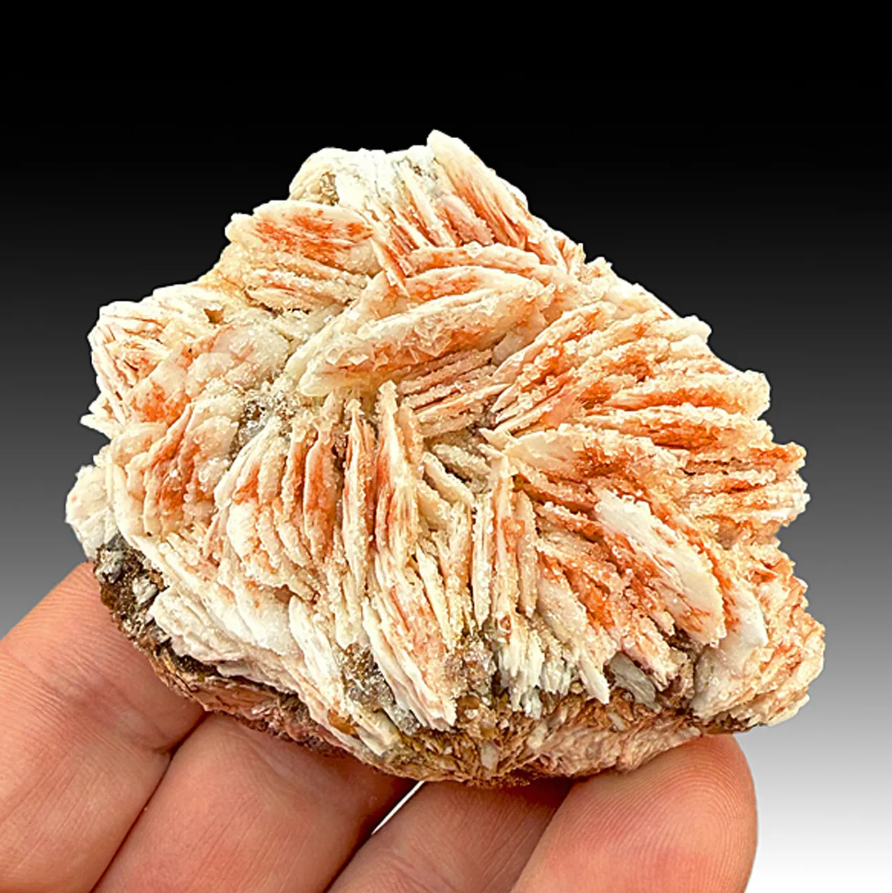 Barite with Calcite (1500) - image 1