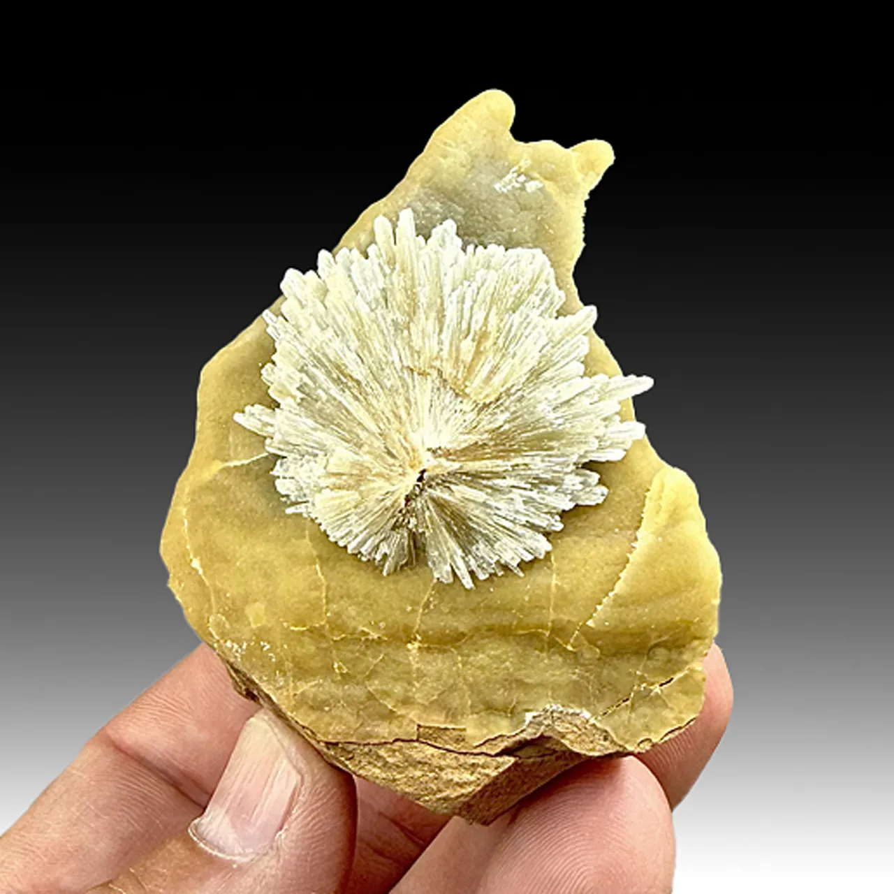 Barite with Calcite (1675) - image 1