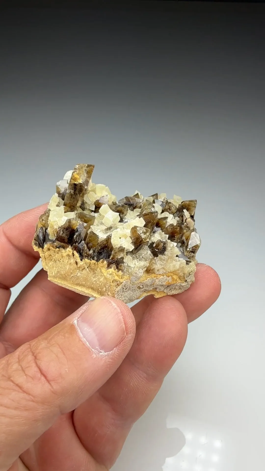 Barite with Calcite (424) - image 2