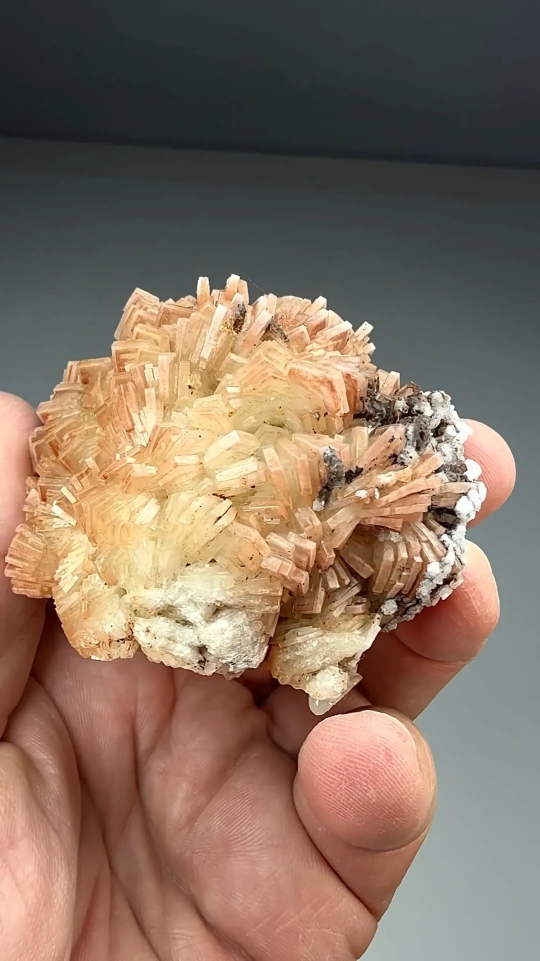 Barite with Calcite (663) - image 2