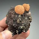 Barite with Calcite, Fluorite (2186) - image 2