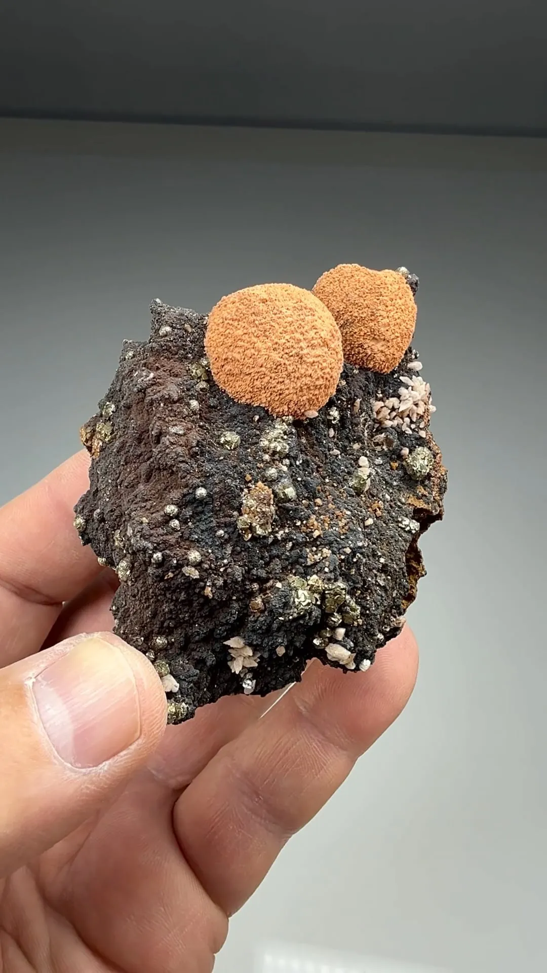 Barite with Calcite, Fluorite (2186) - image 2