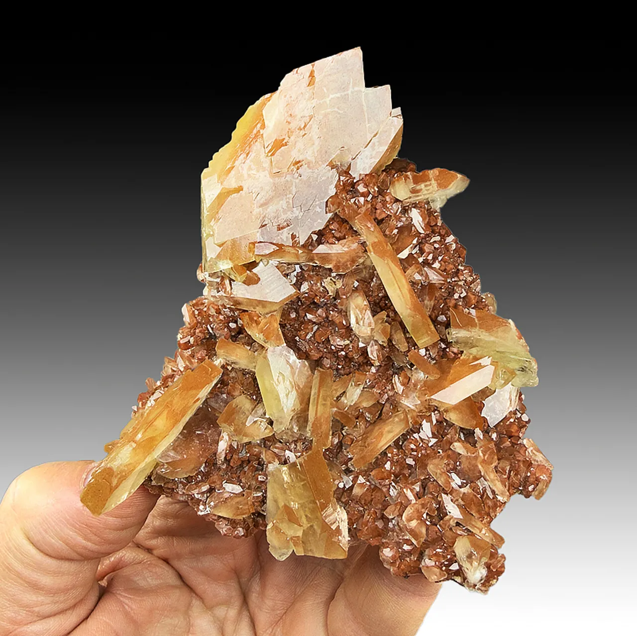 Barite with Calcite, Hematite - image 1