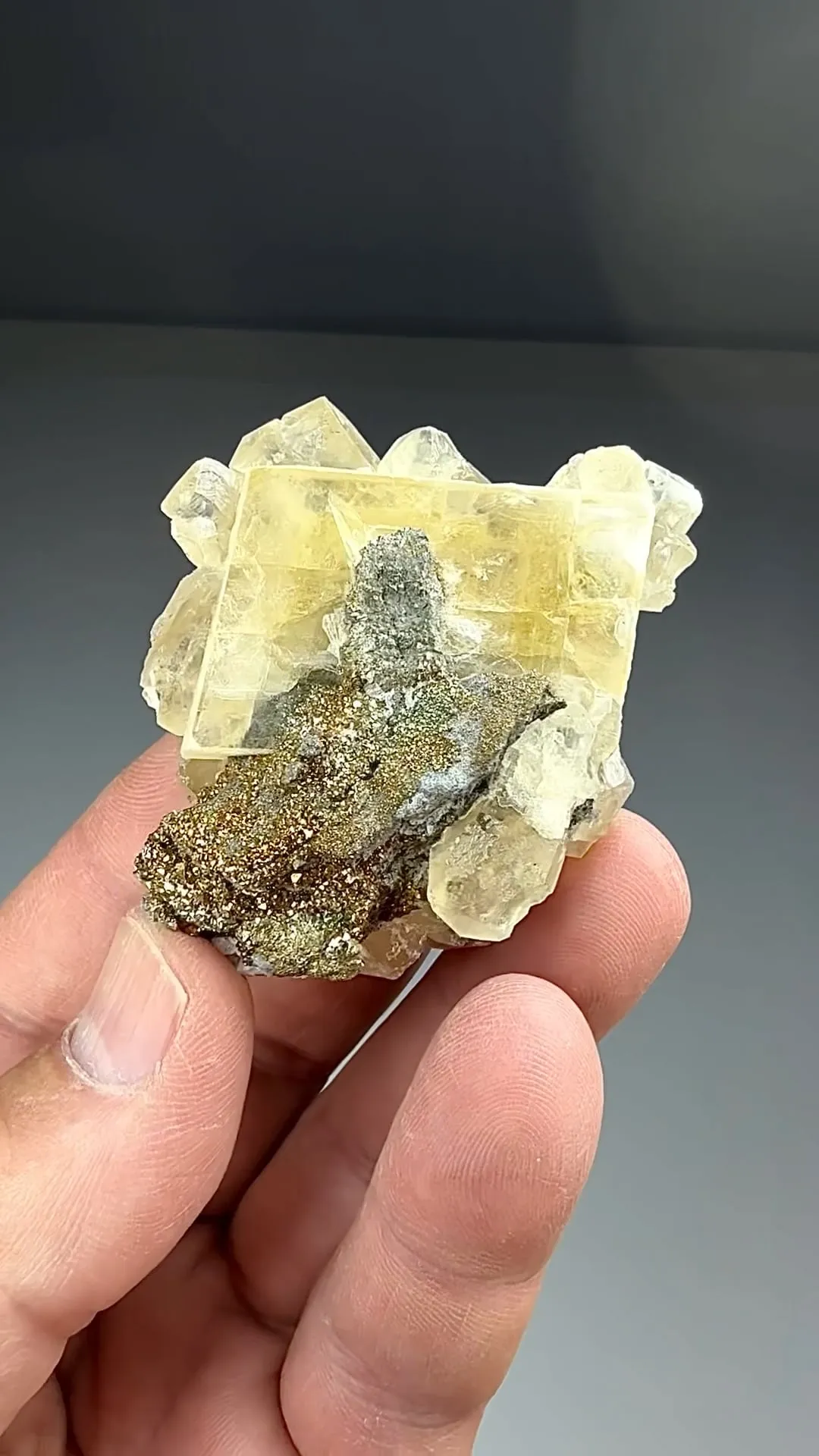 Barite with Calcite, Marcasite (1662) - image 2