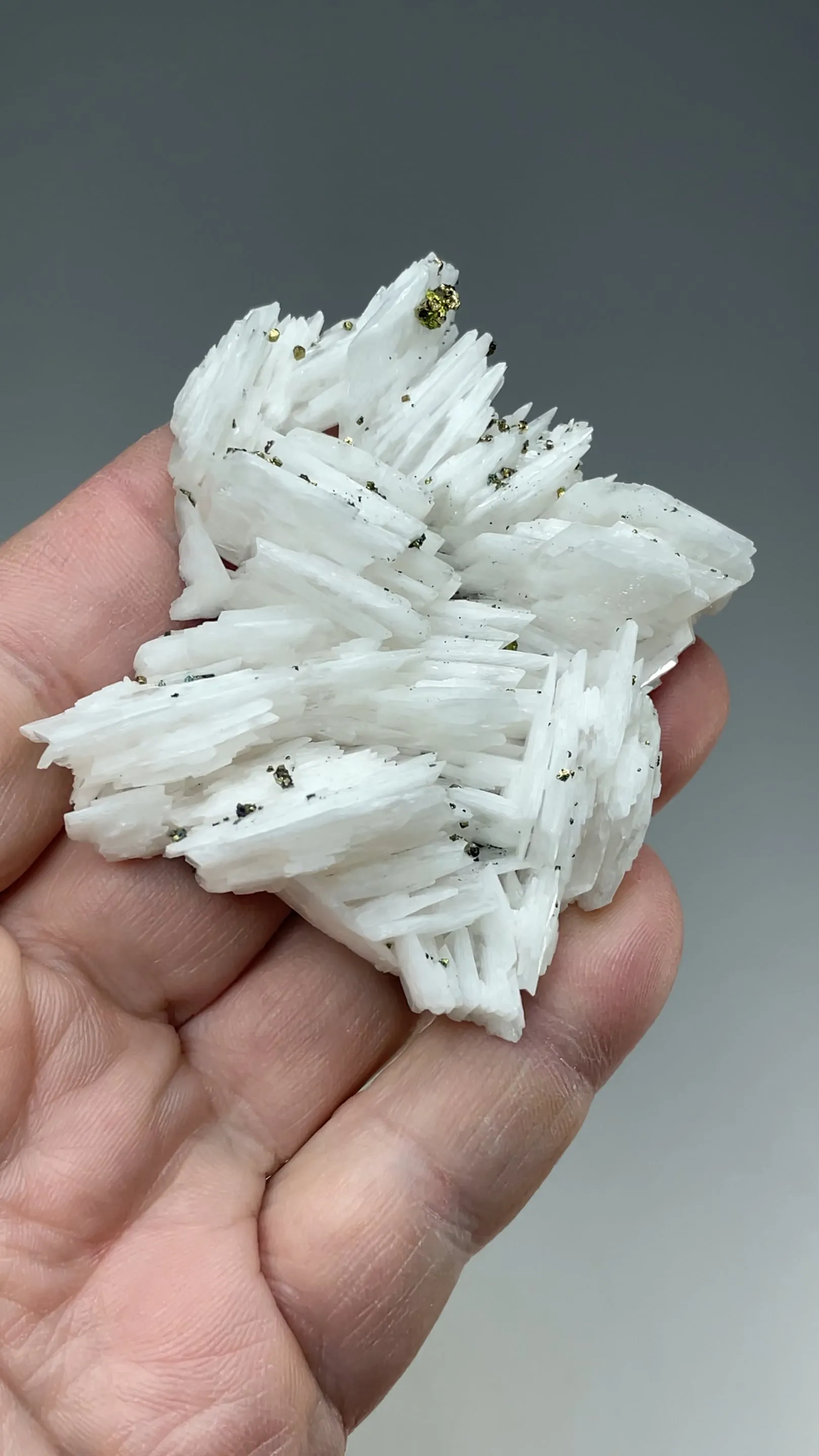 Barite with Chalcopyrite - image 2