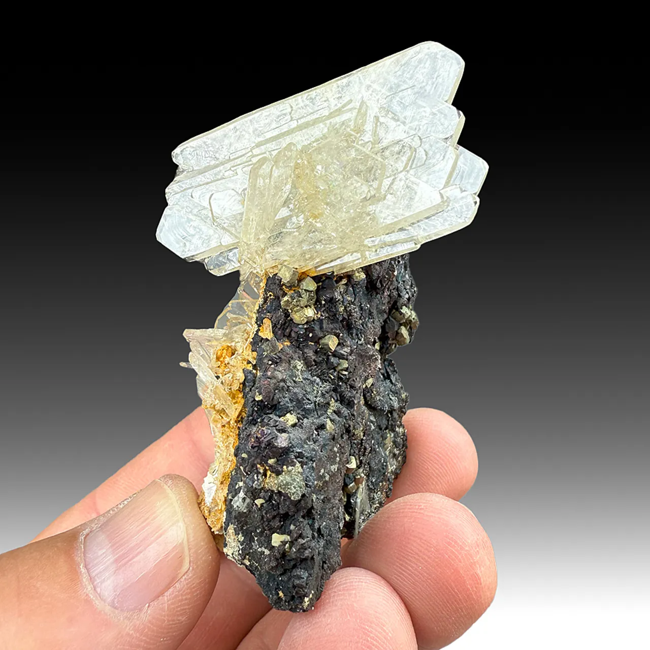 Barite with Chalcopyrite, Pyrite (1145) - image 1