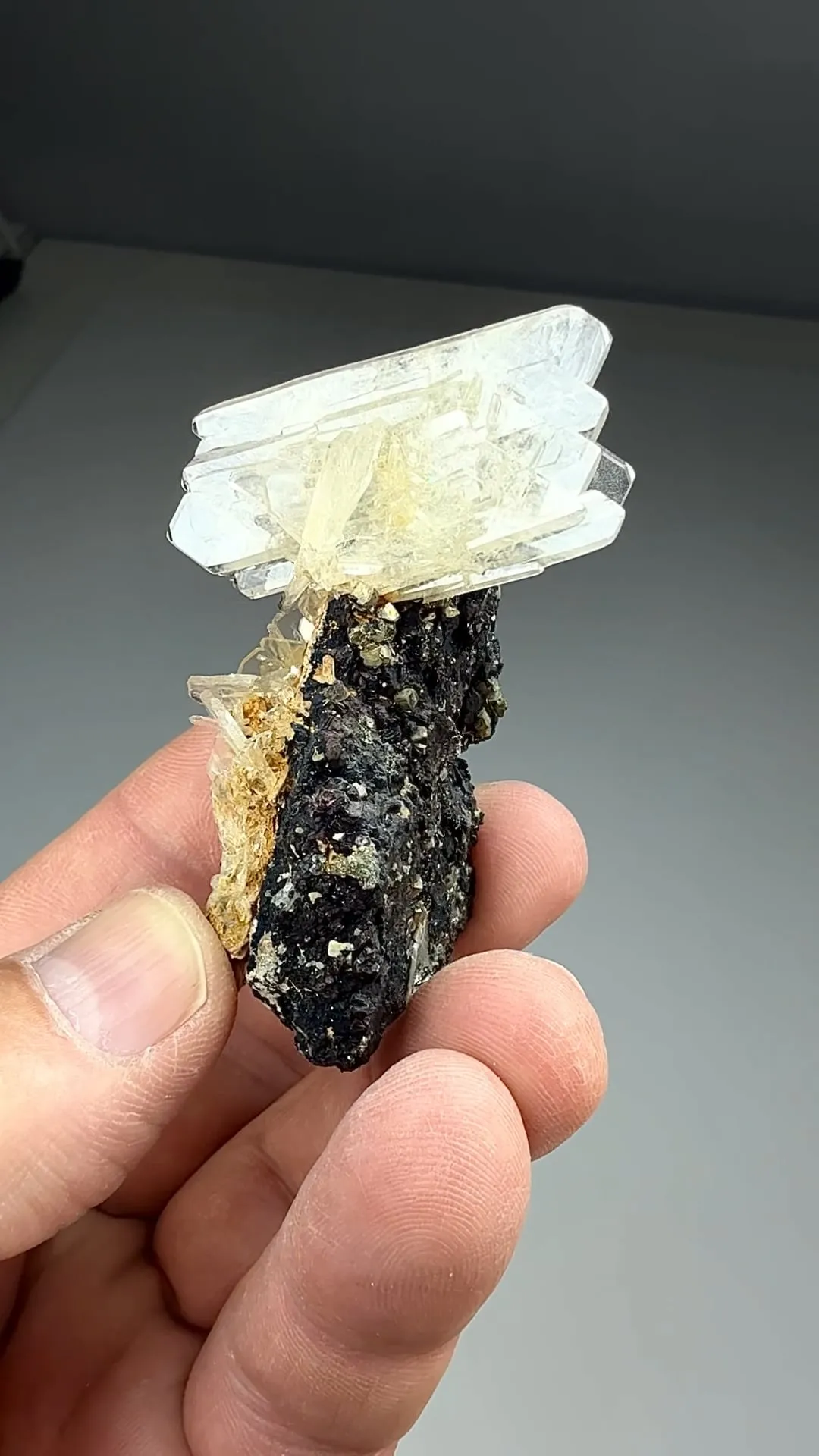 Barite with Chalcopyrite, Pyrite (1145) - image 2