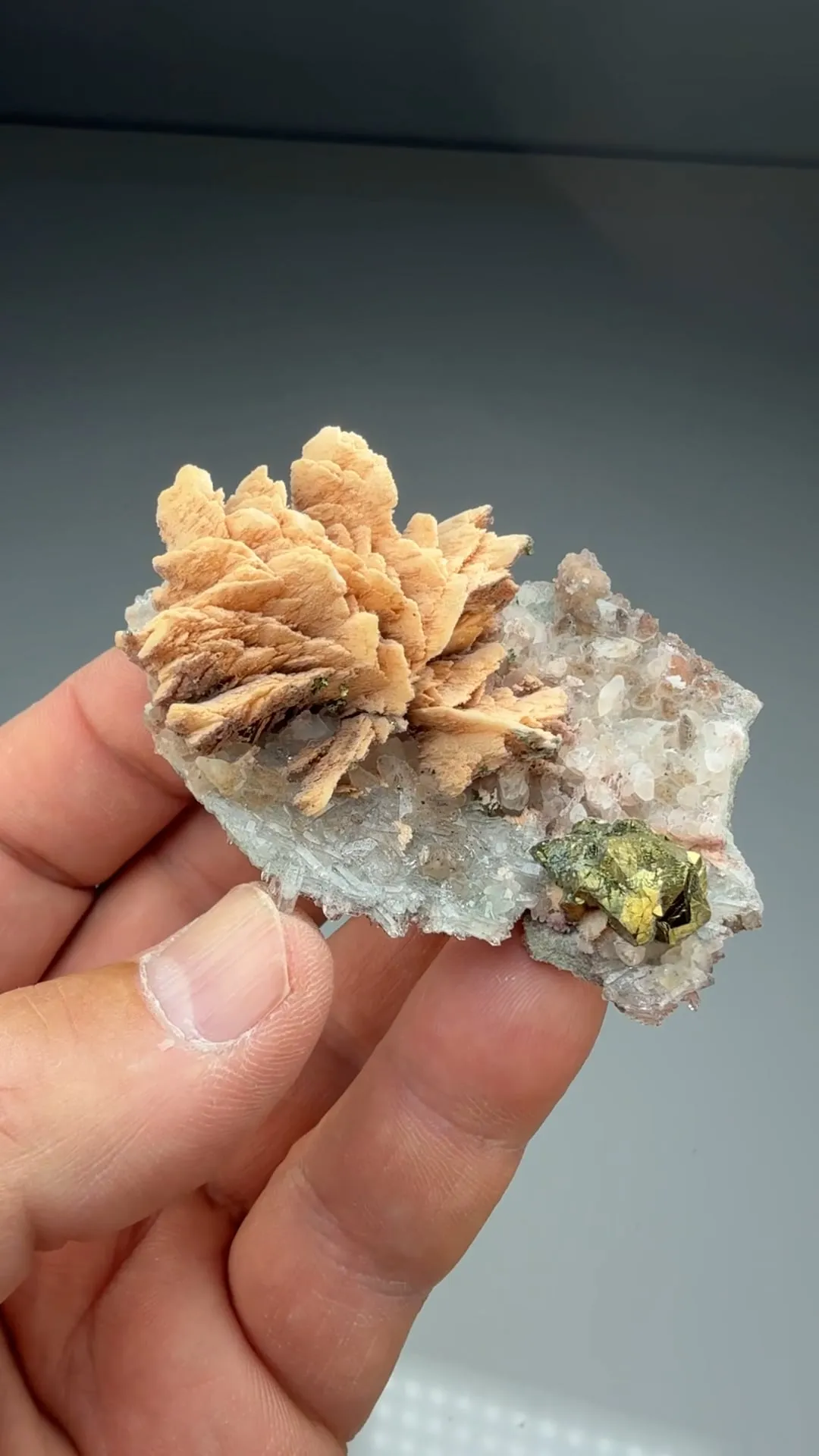 Barite with Chalcopyrite, Quartz, Calcite (912) - image 2
