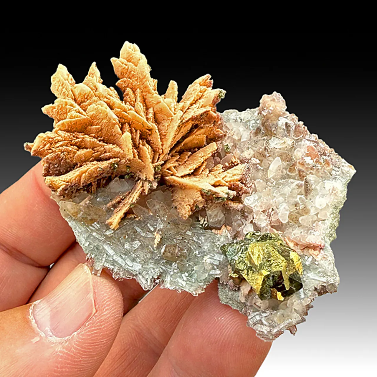 Barite with Chalcopyrite, Quartz, Calcite (912) - image 1