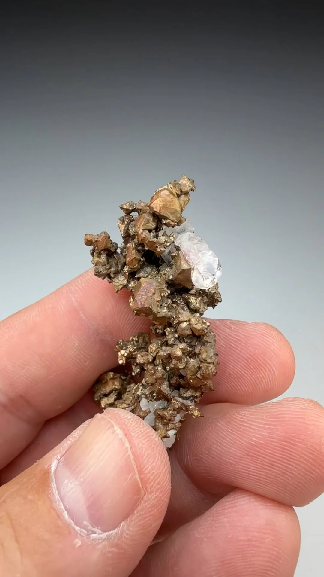 Barite with Copper 1563) - image 2