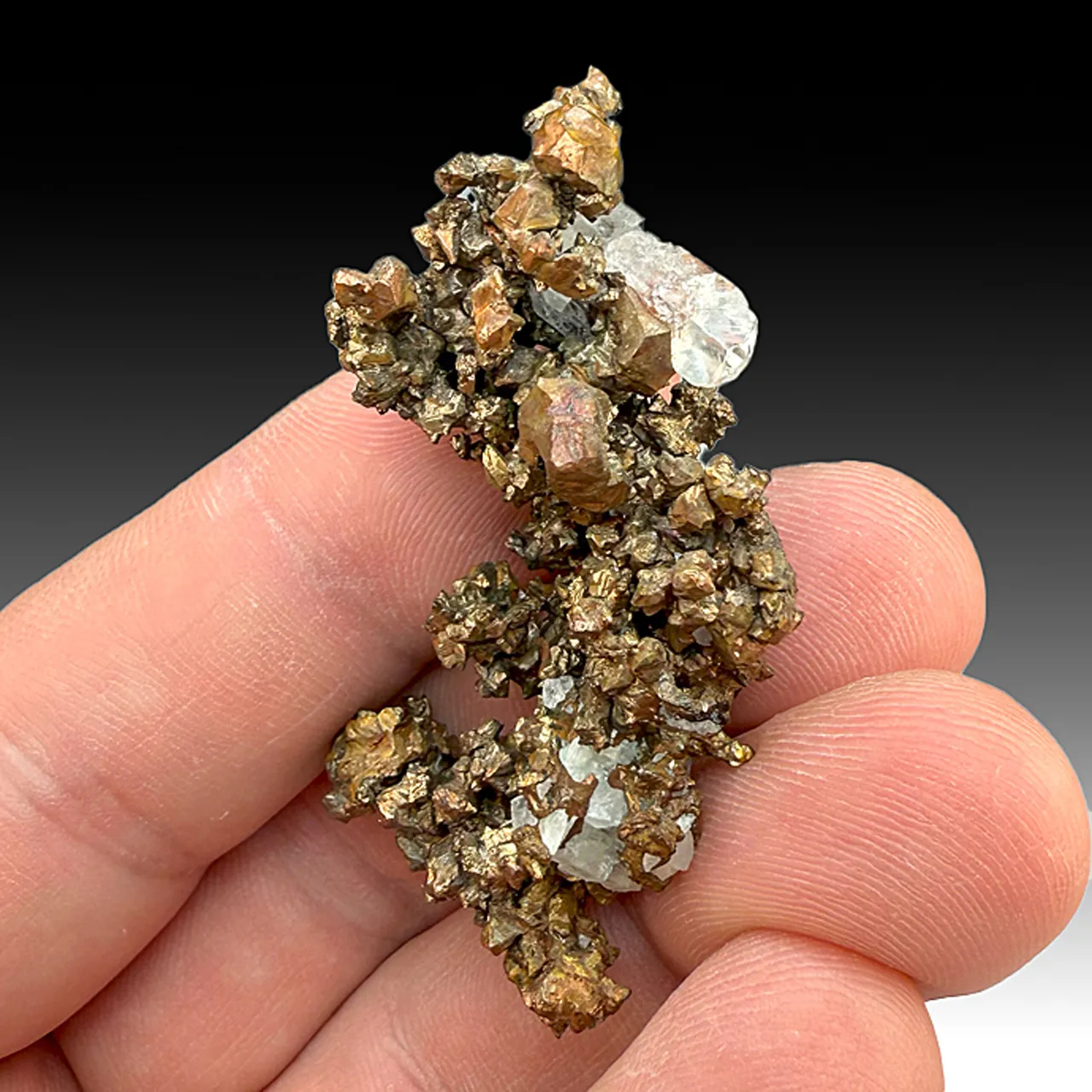 Barite with Copper 1563) - image 1