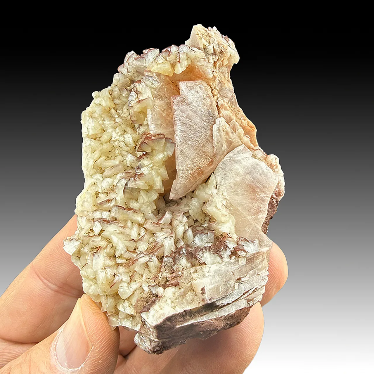 Barite with Dolomite, Hematite - image 1