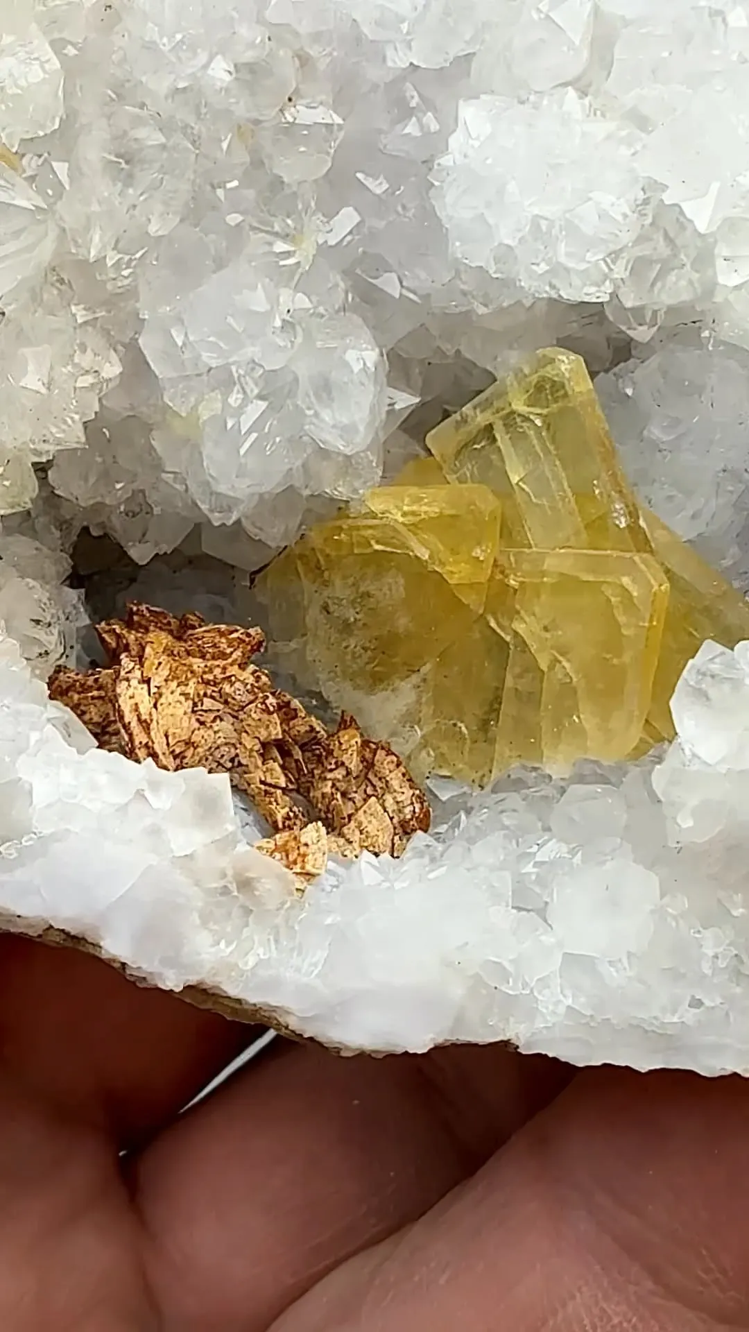 Barite with Dolomite, Quartz (1579 - image 2